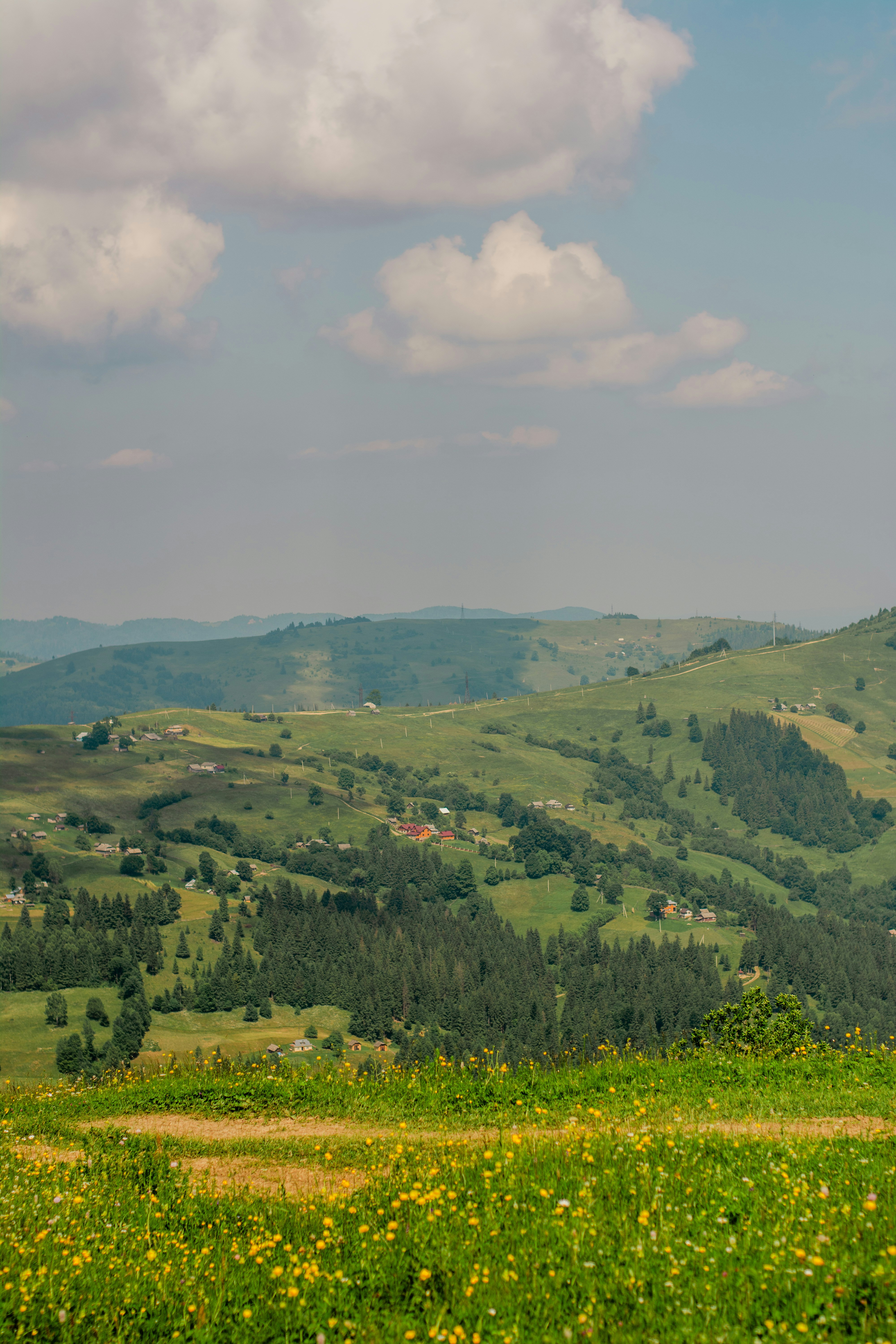 Photo by eugenivy_now