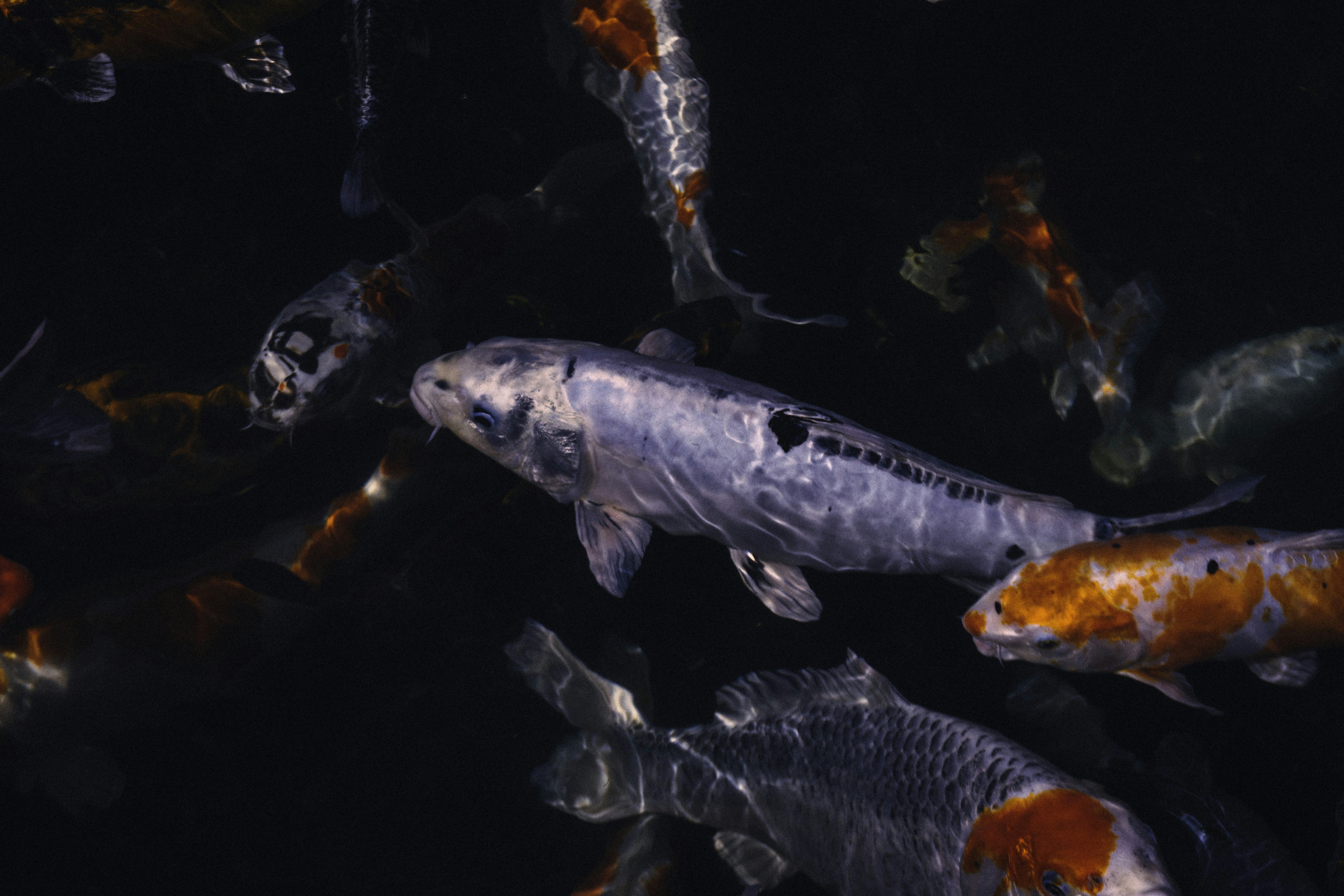 Photo by sindy_suessengut