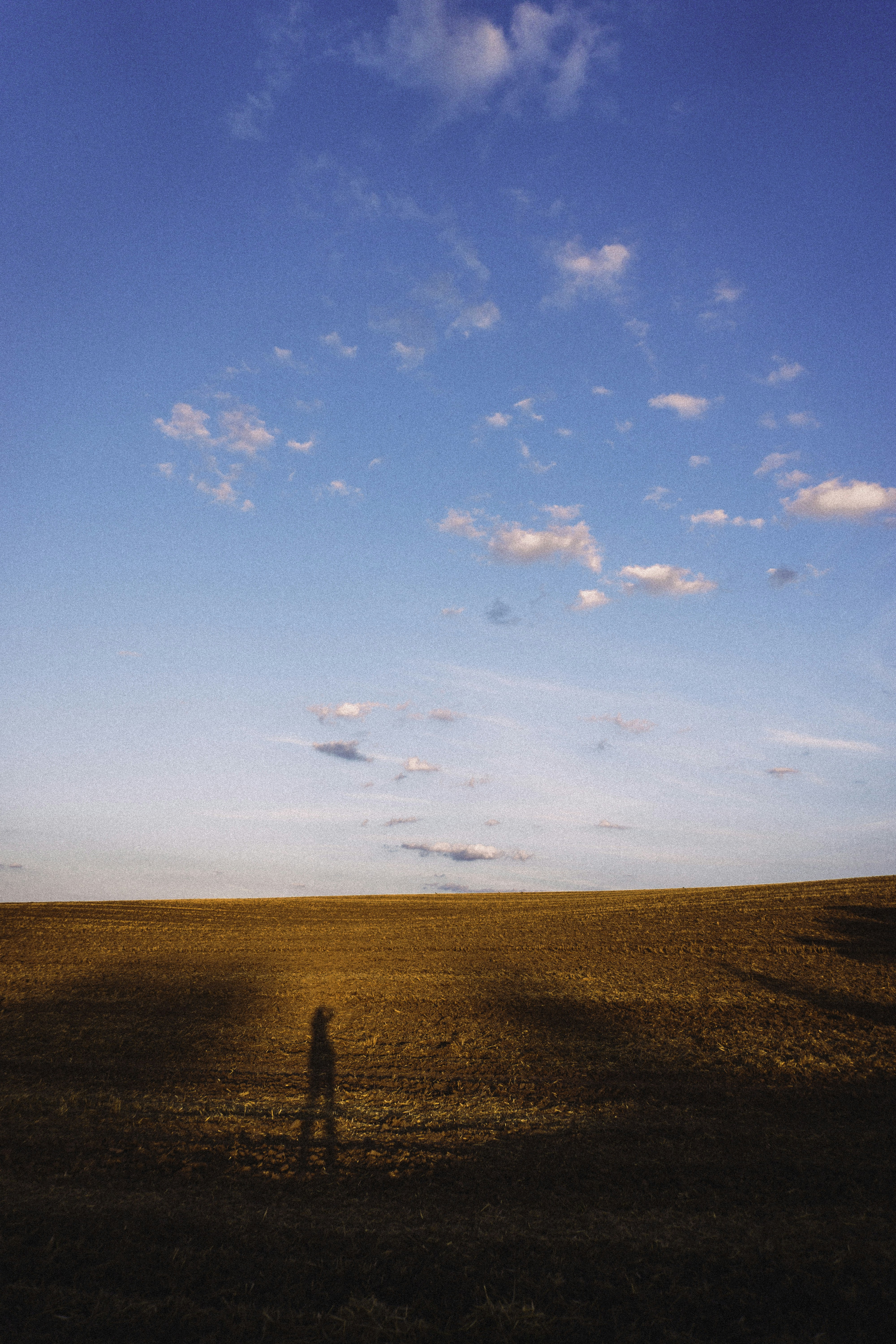 Photo by sindy_suessengut