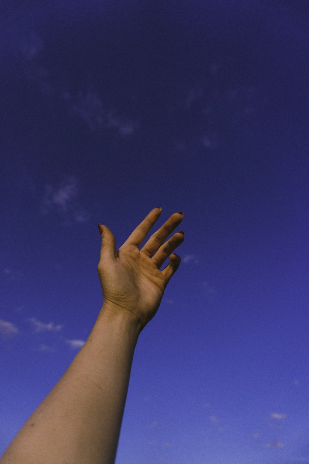 persons left hand under blue sky during daytime