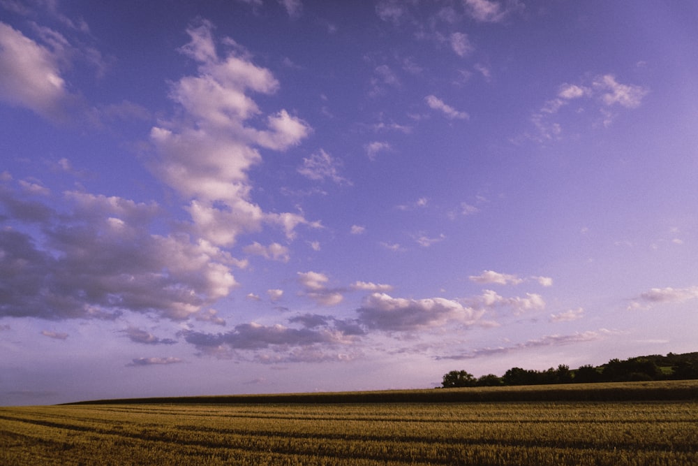 brown field under blue sky and white clouds during daytime