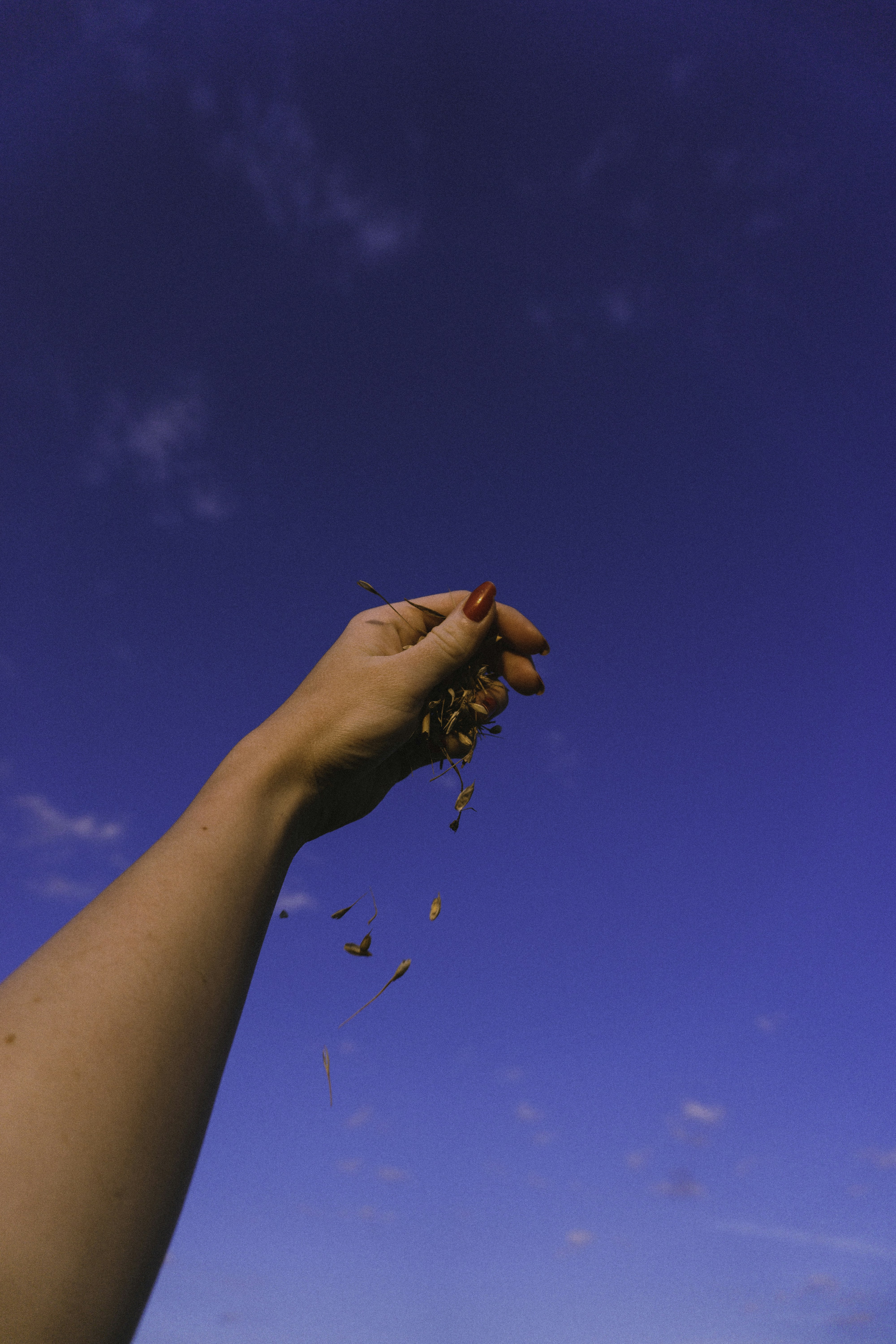 How to Create Minimalist Nail Designs: A Step-by-Step Guide