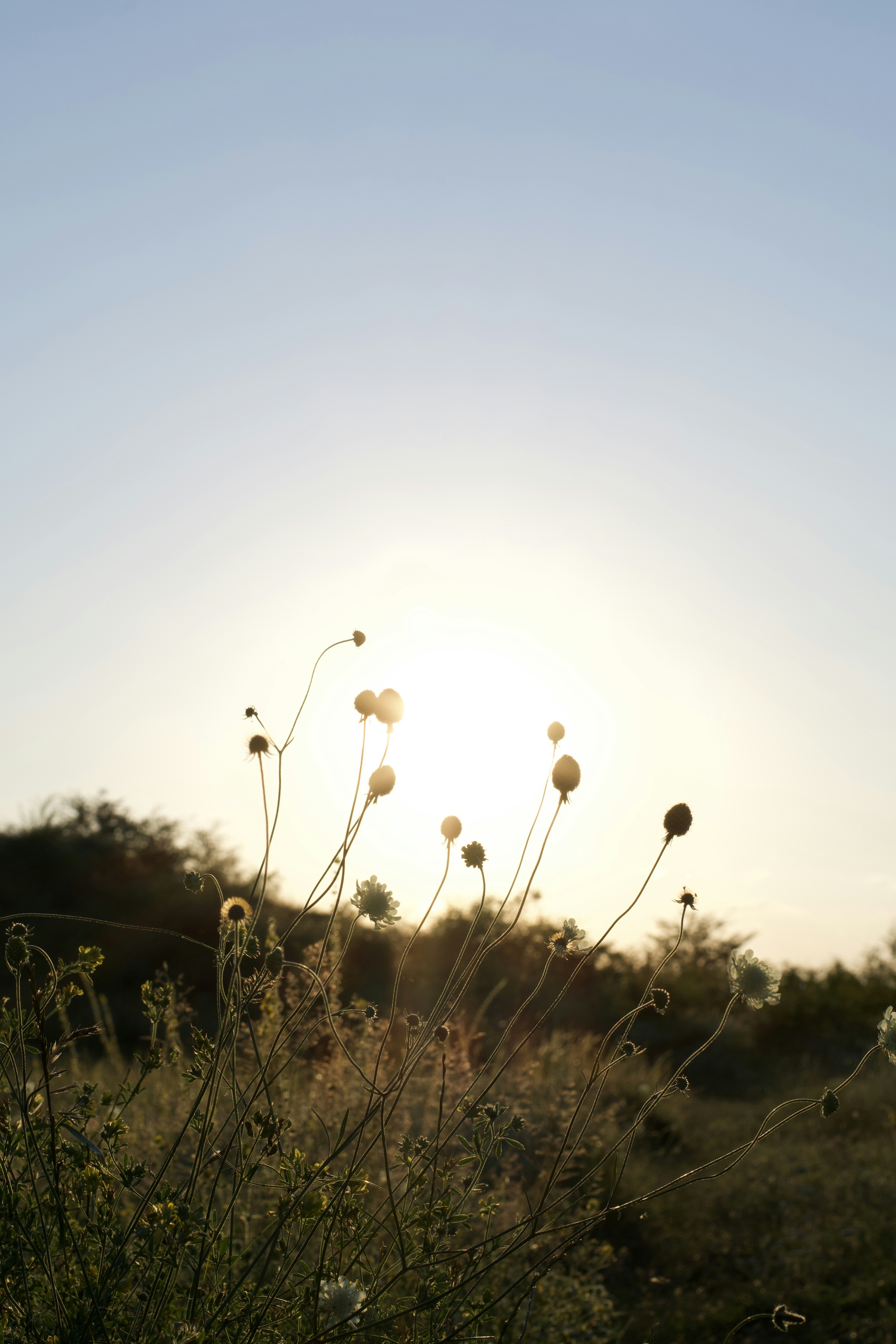 Photo by lukaskonvica