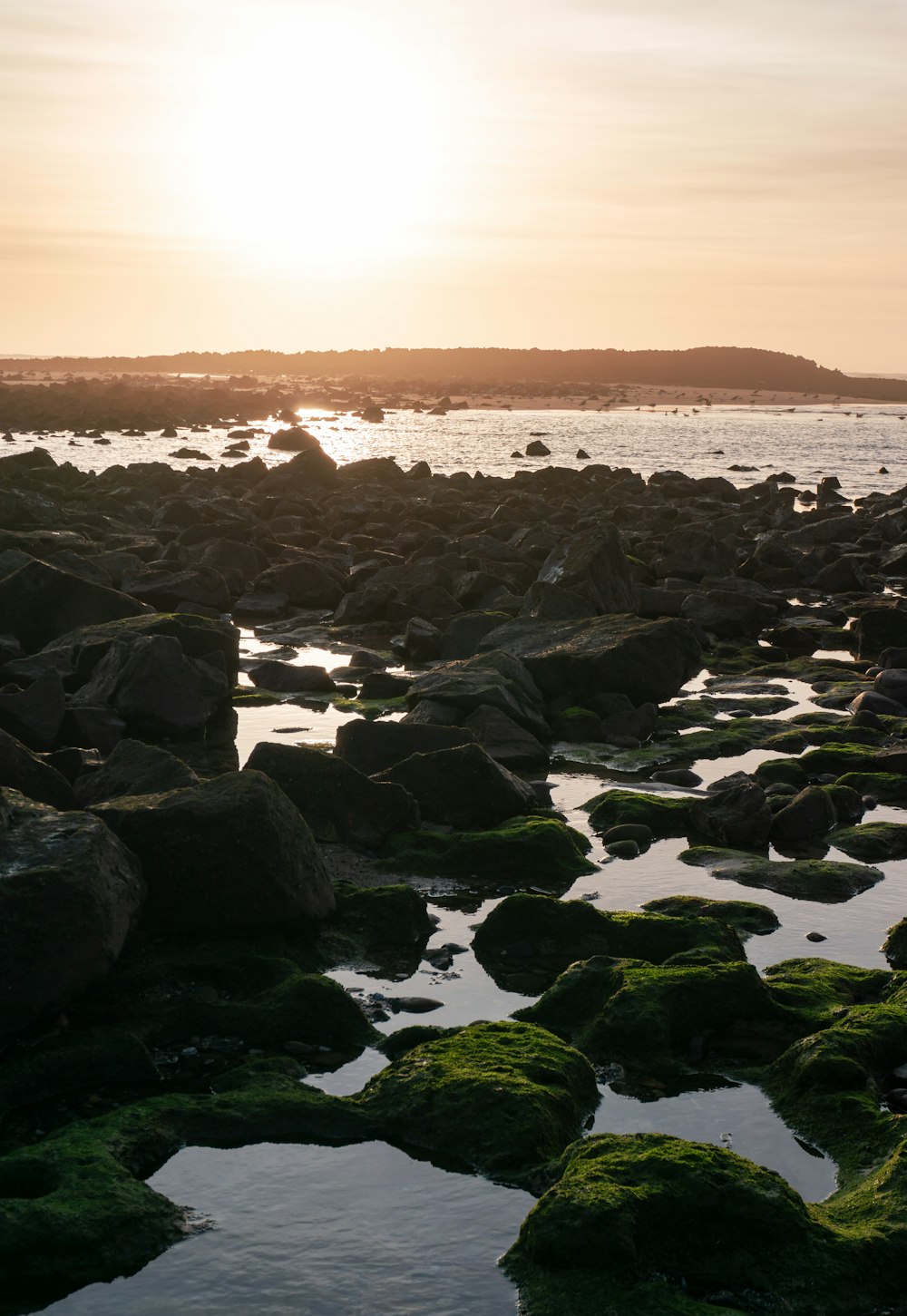 gray rocks on sea shore during sunset