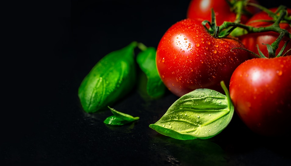 Close-up of a vibrant, fresh tomato and basil salad glistening with olive oil.