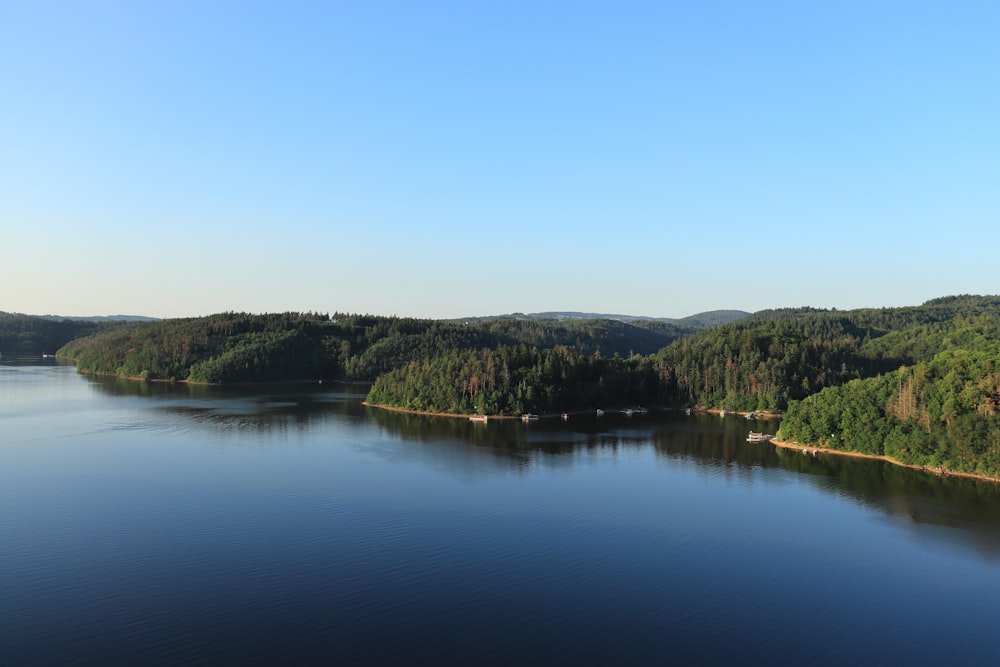 green trees near lake under blue sky during daytime