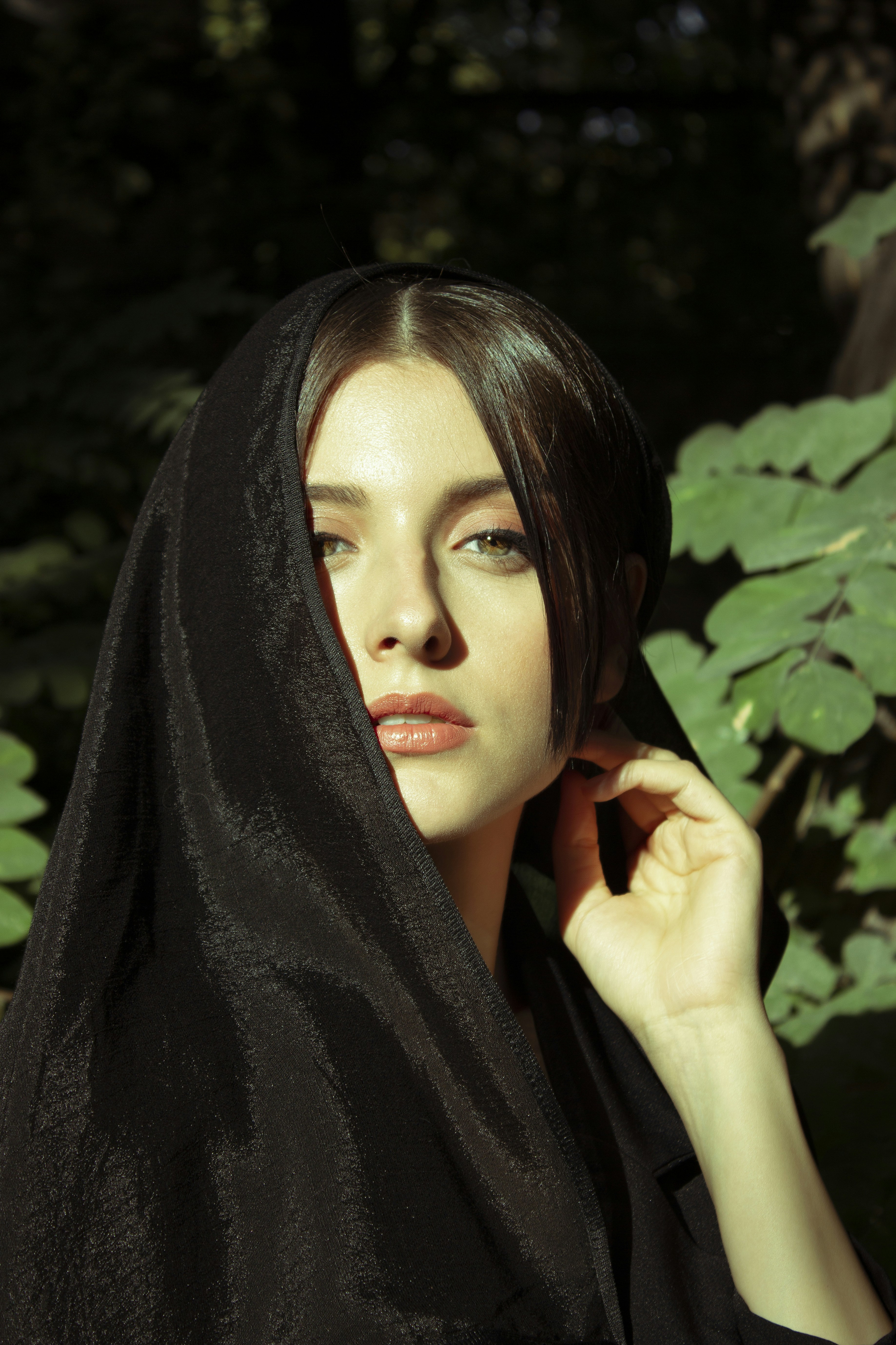 Photo by baranlotfollahi