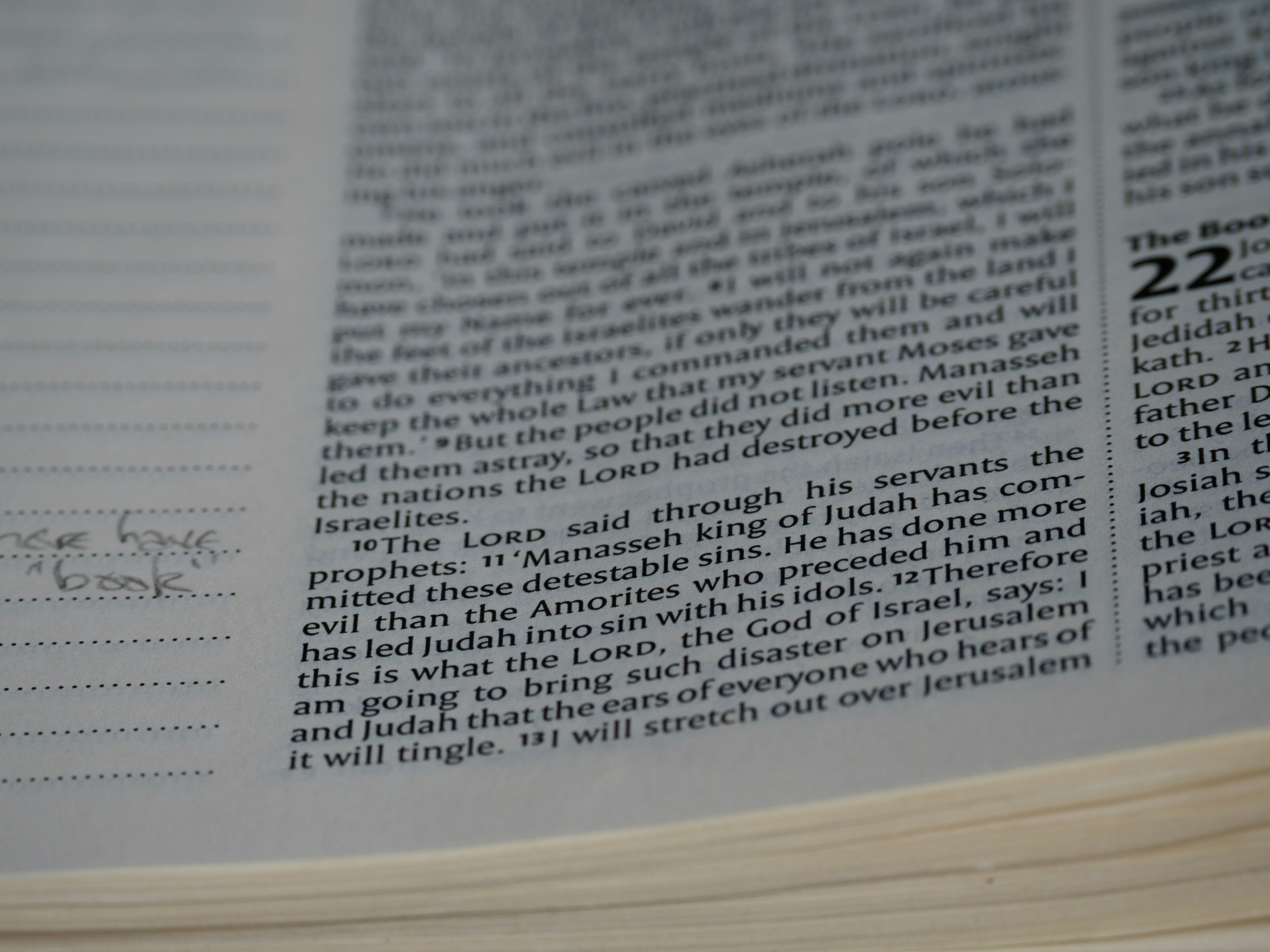 Photo by brett_jordan