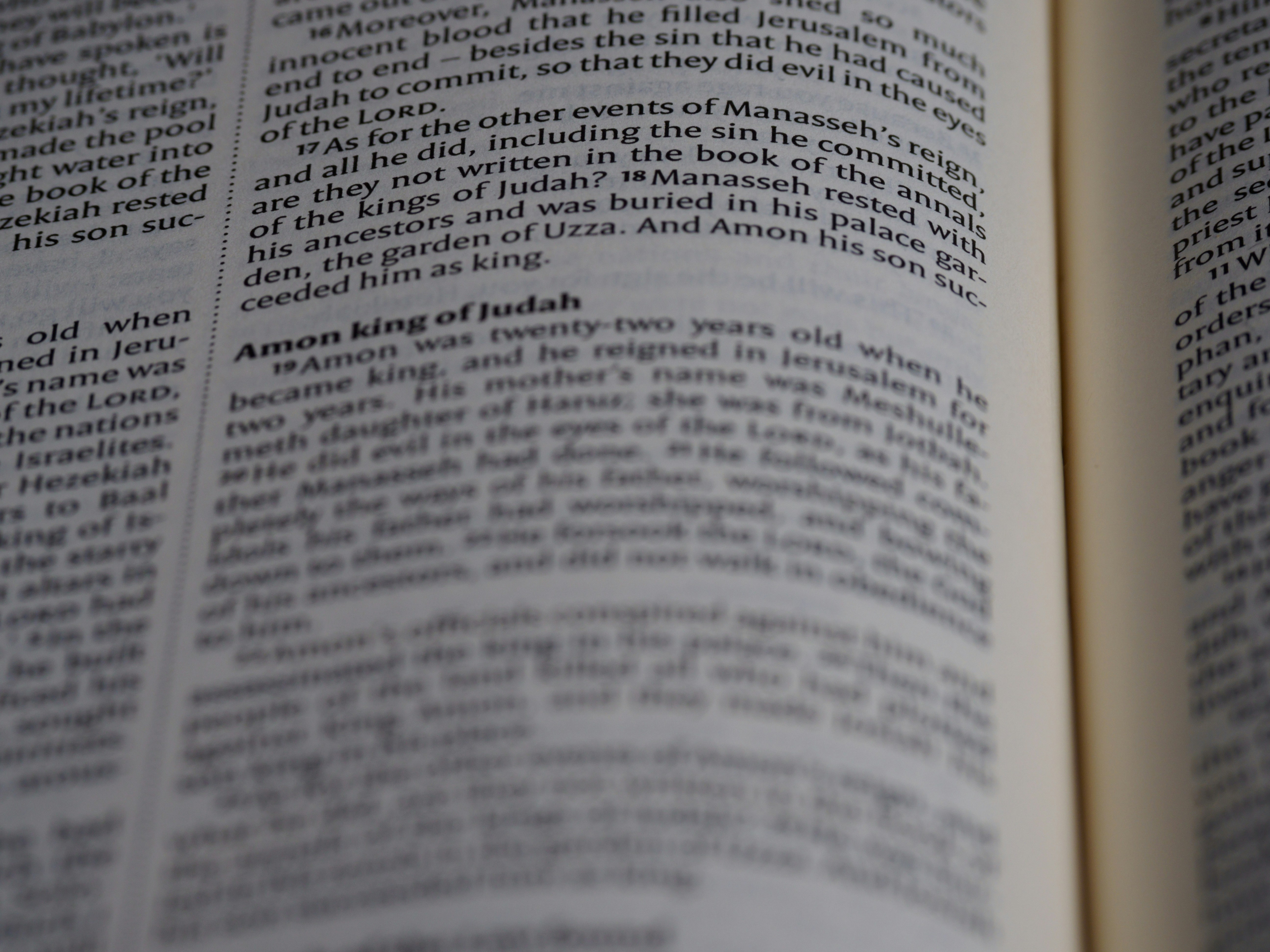 Photo by brett_jordan