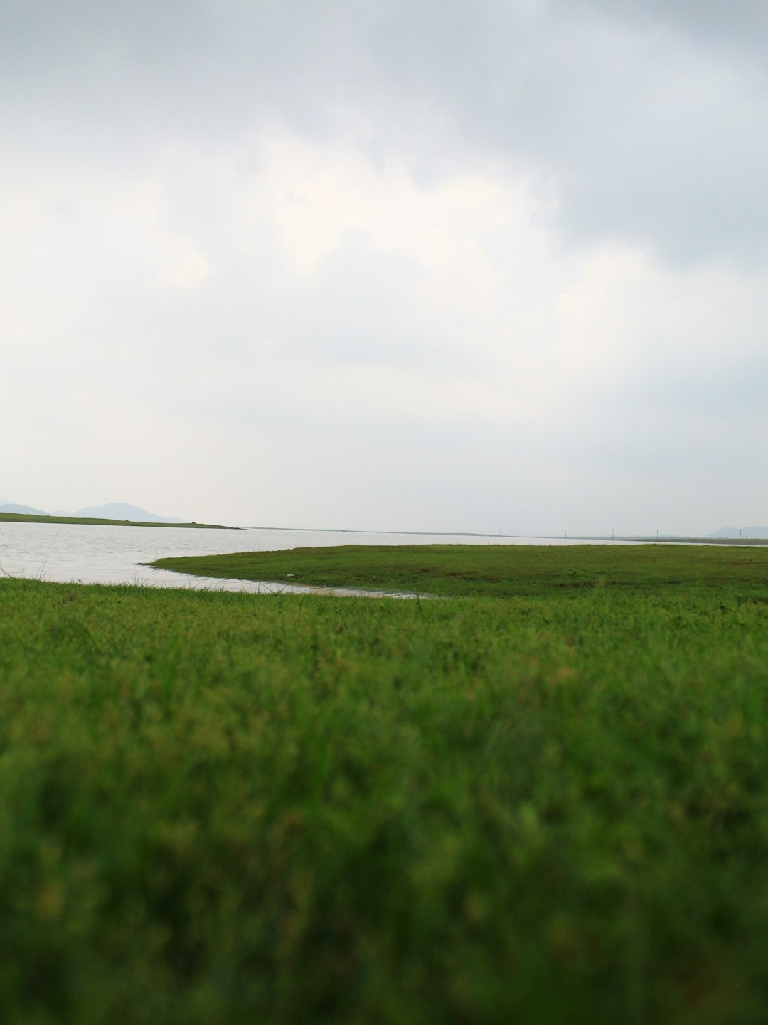 green grass field near body of water under white clouds during daytime