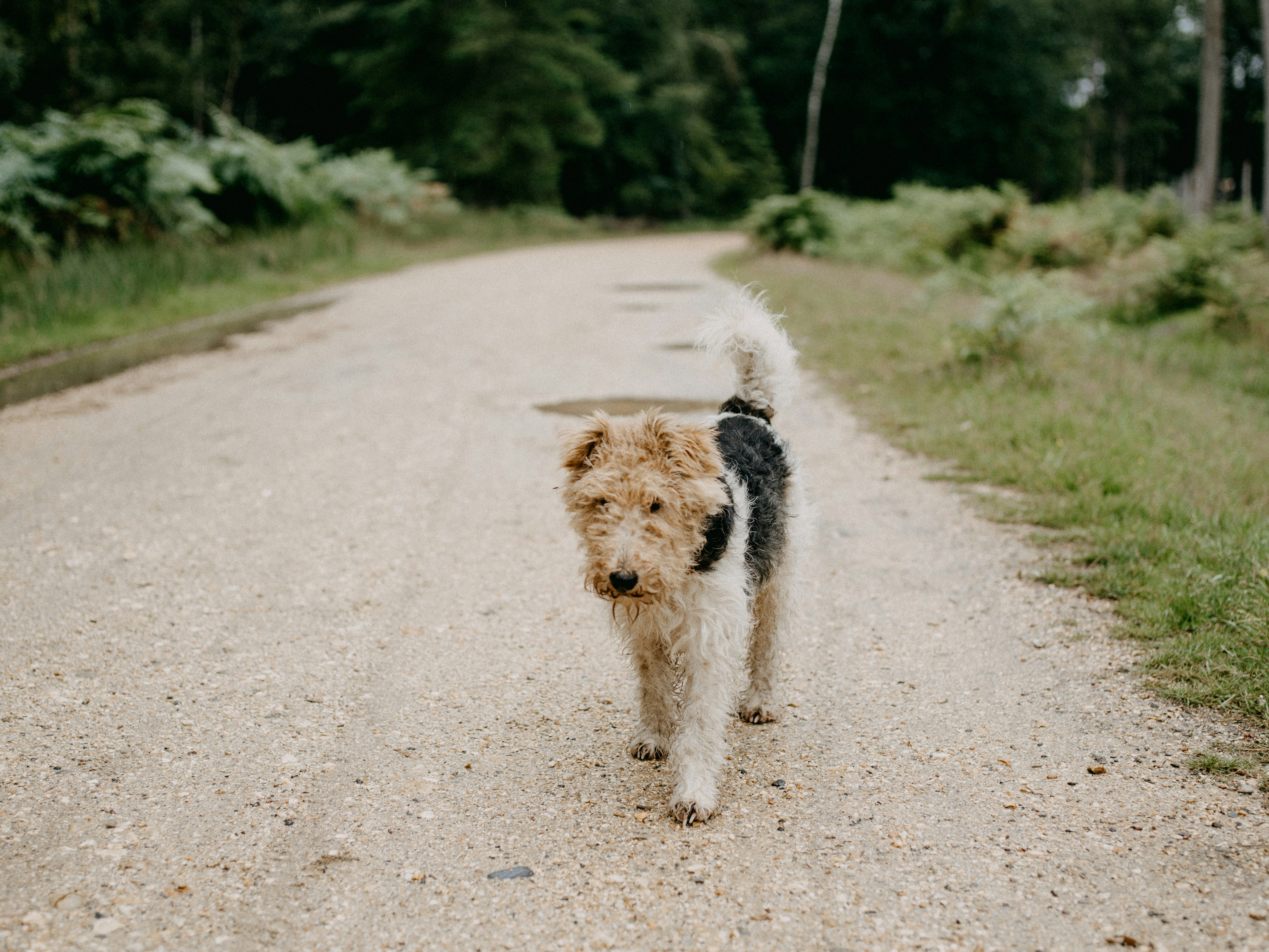 Photo by anniespratt