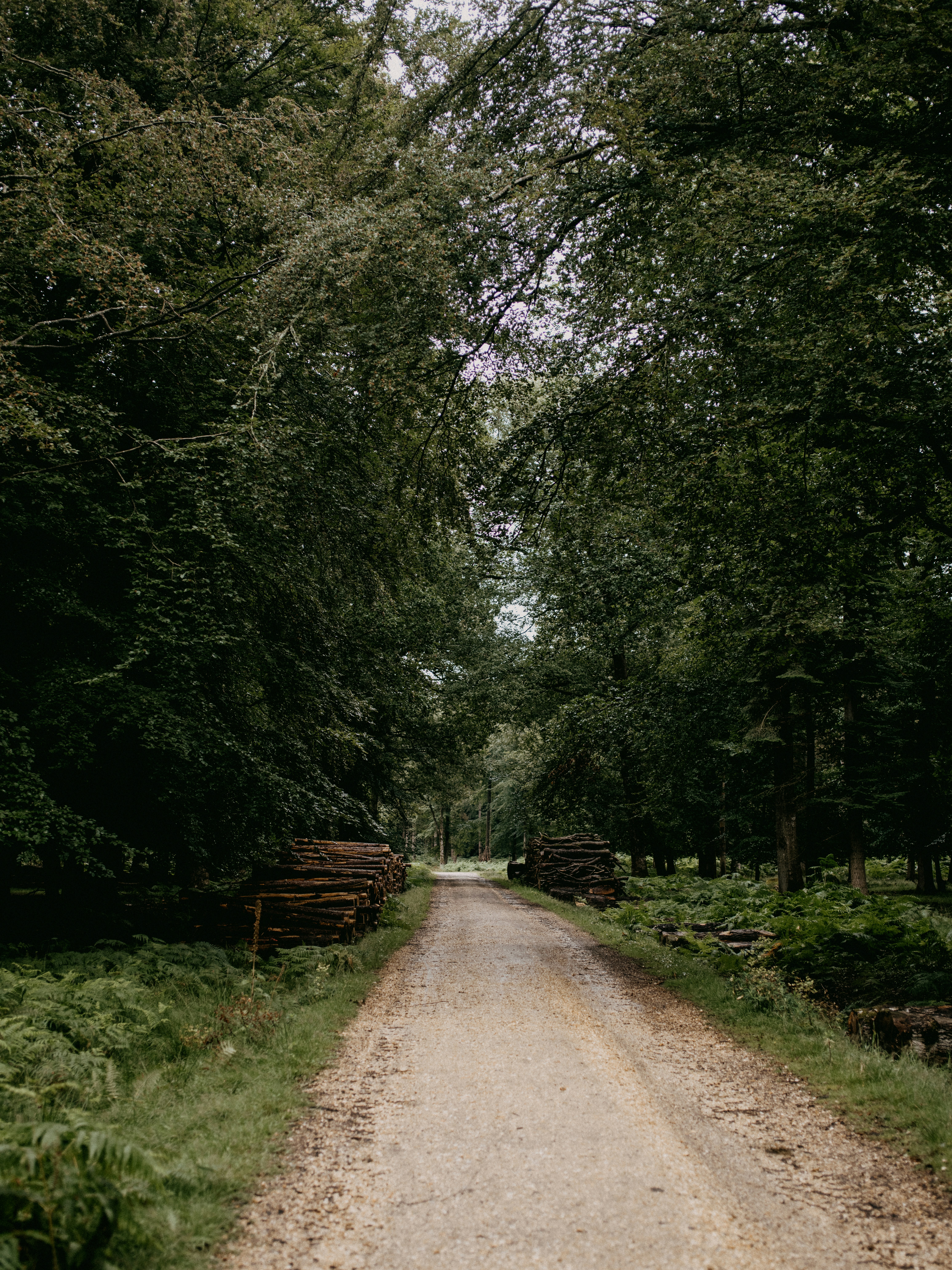 Photo by anniespratt