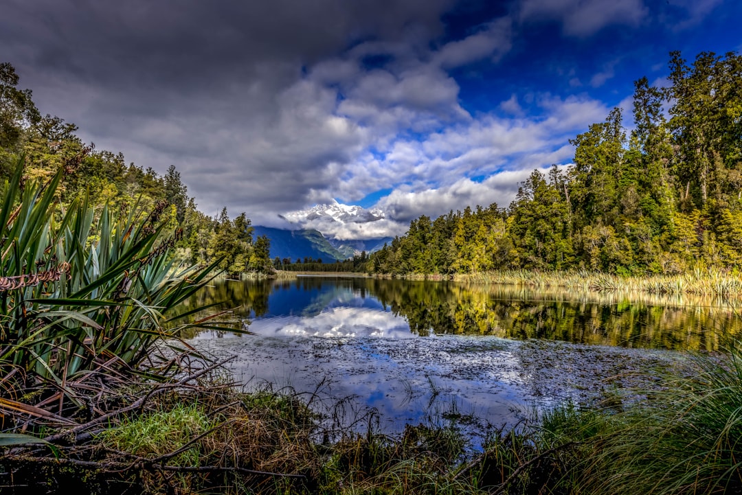 green trees near lake under blue sky and white clouds during daytime