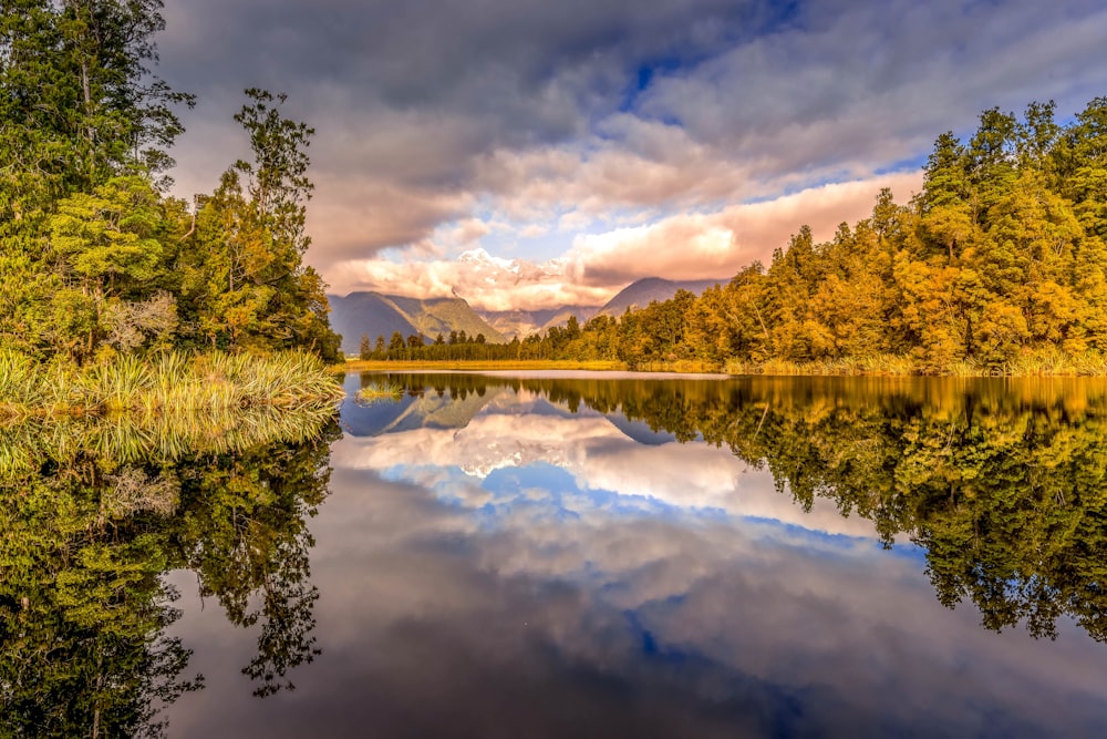 green trees beside lake under cloudy sky during daytime