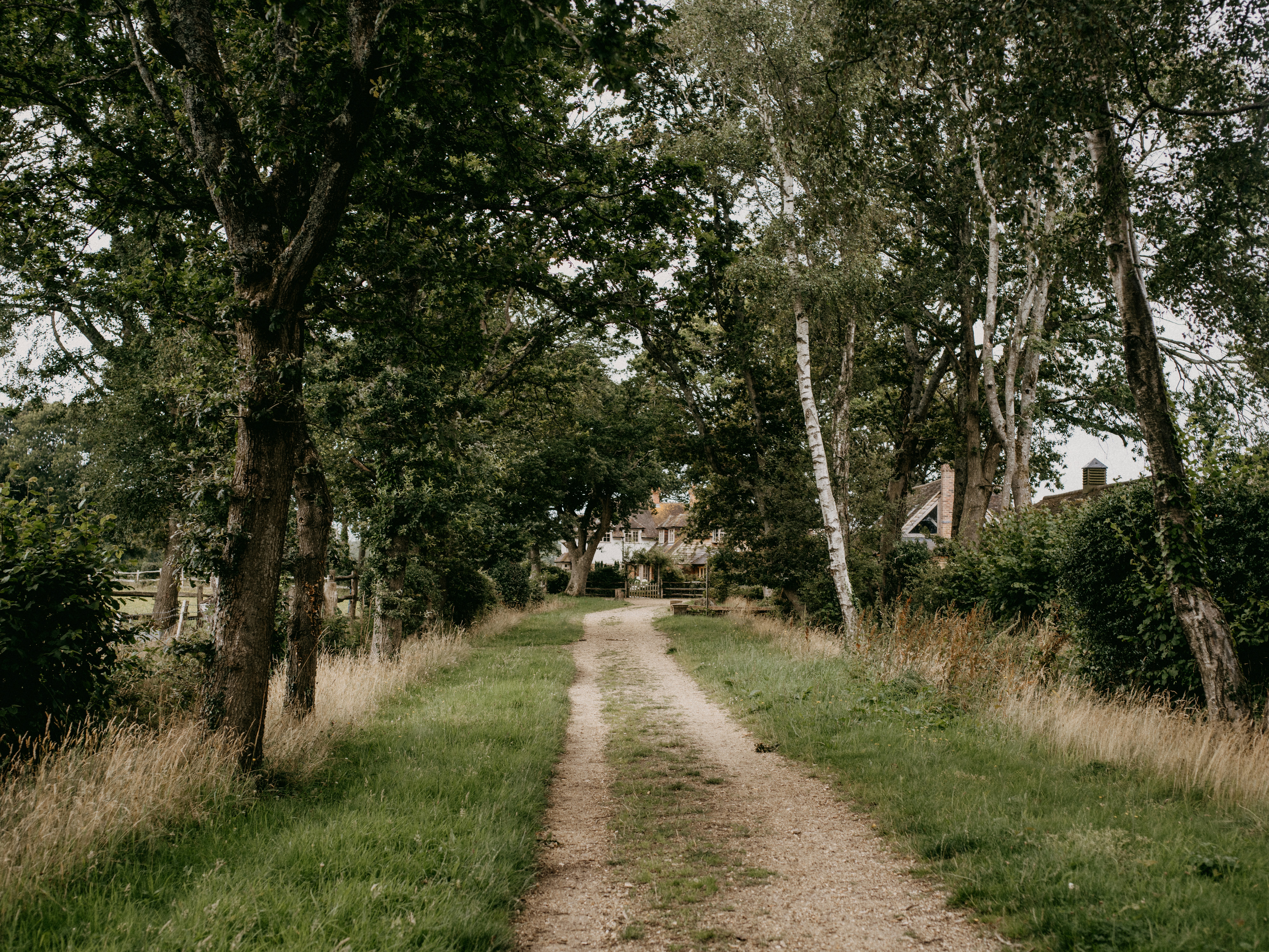 Photo by anniespratt