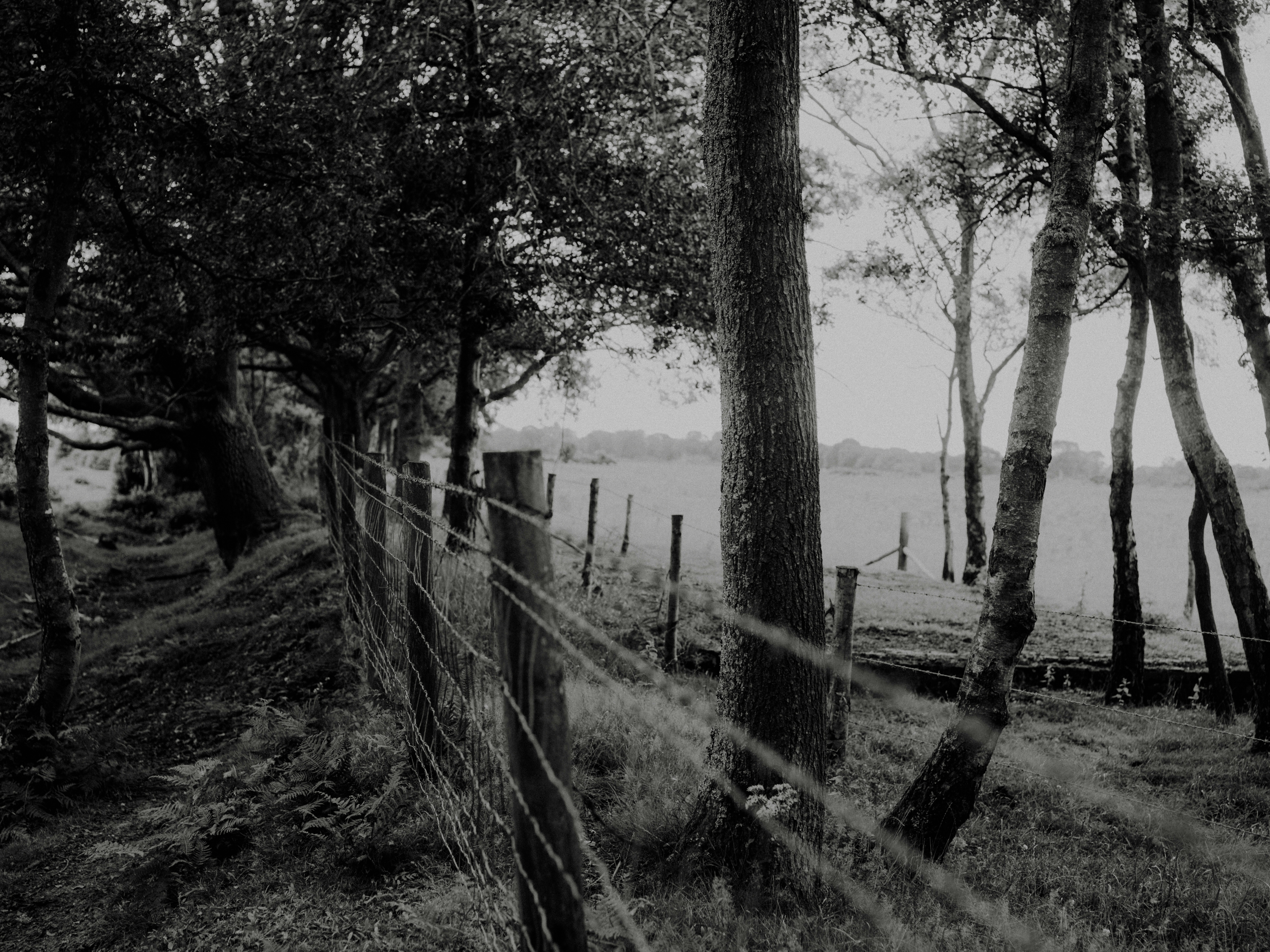 Photo by anniespratt