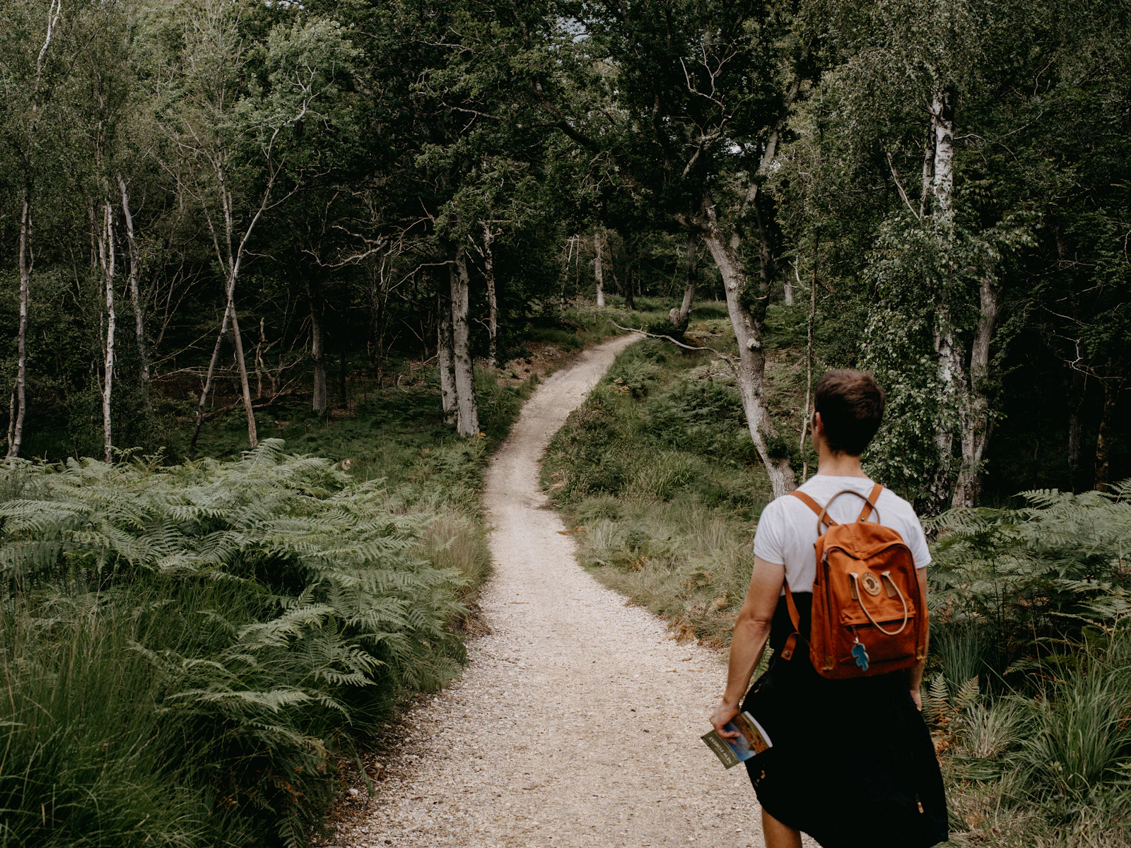 Person geht auf einem Waldweg als Symbol für den Rauchstopp bei einer Schachtel Zigaretten am Tag