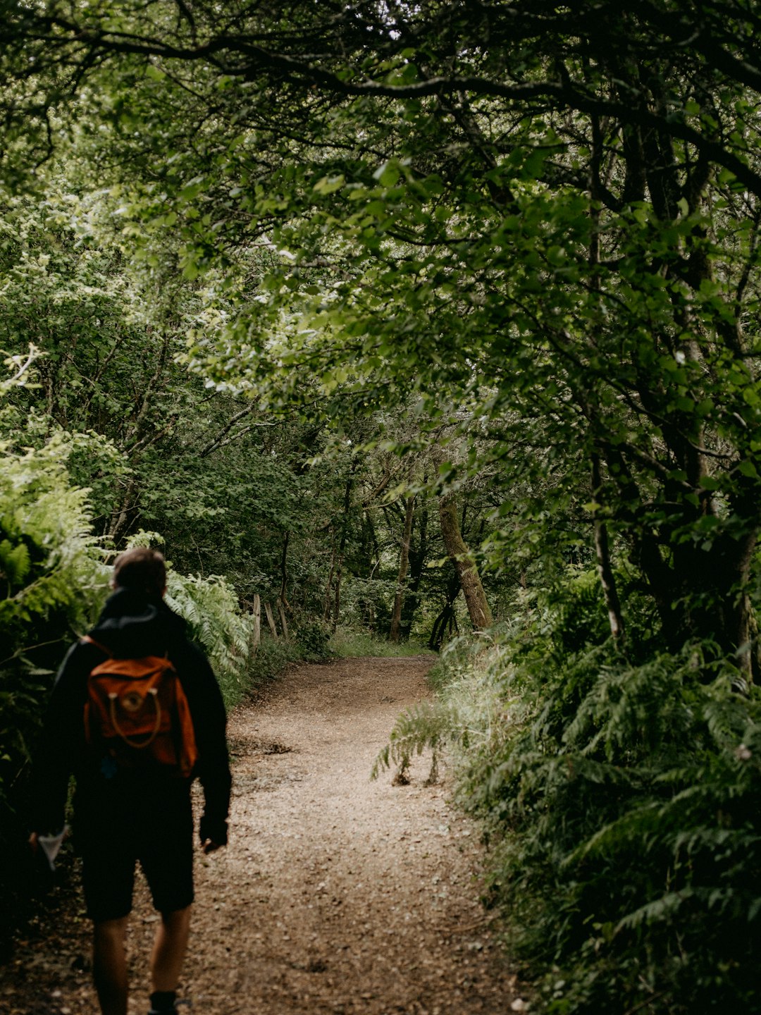 man in black jacket walking on dirt road in between green trees during daytime