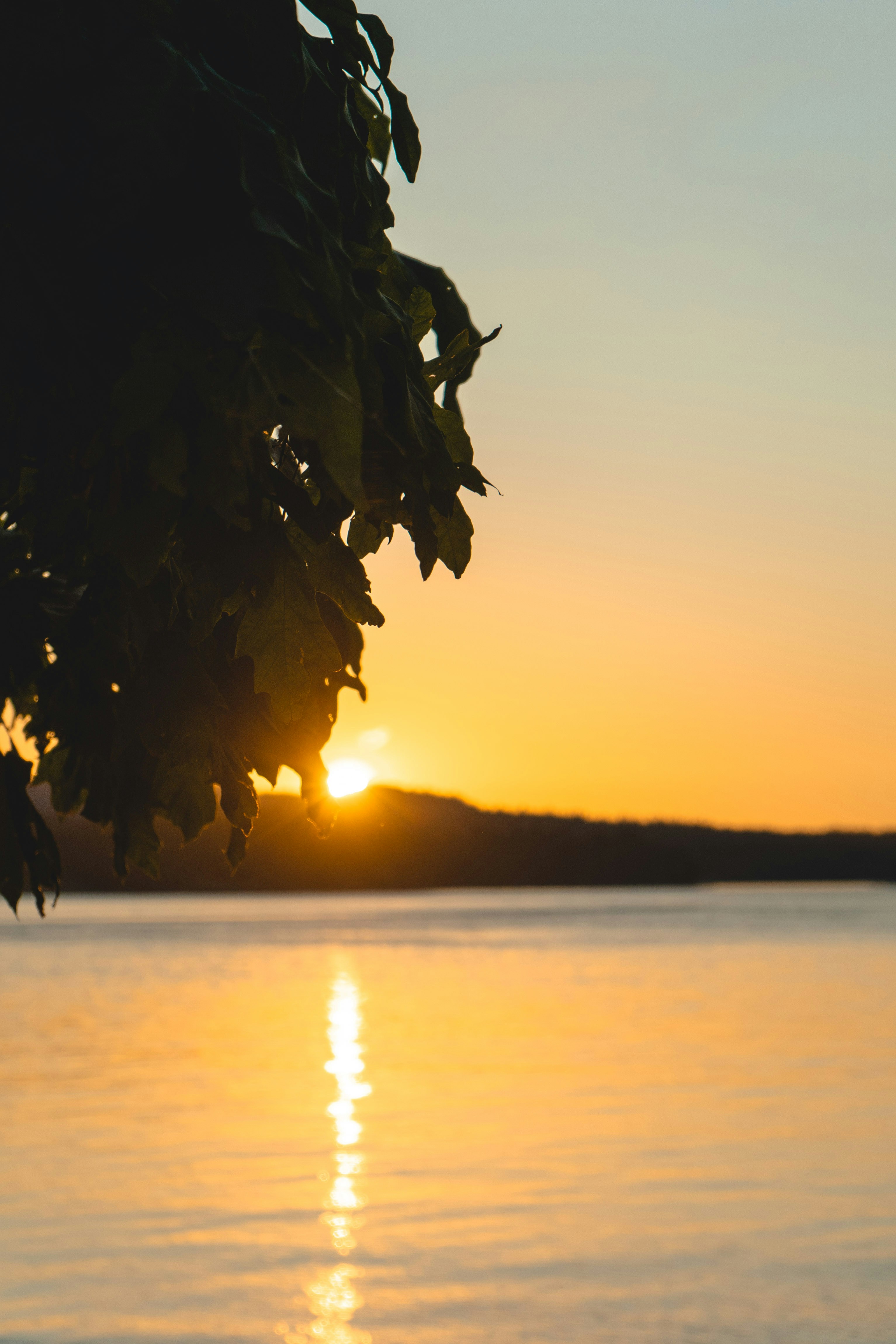 Photo by jaspergarrattphotography