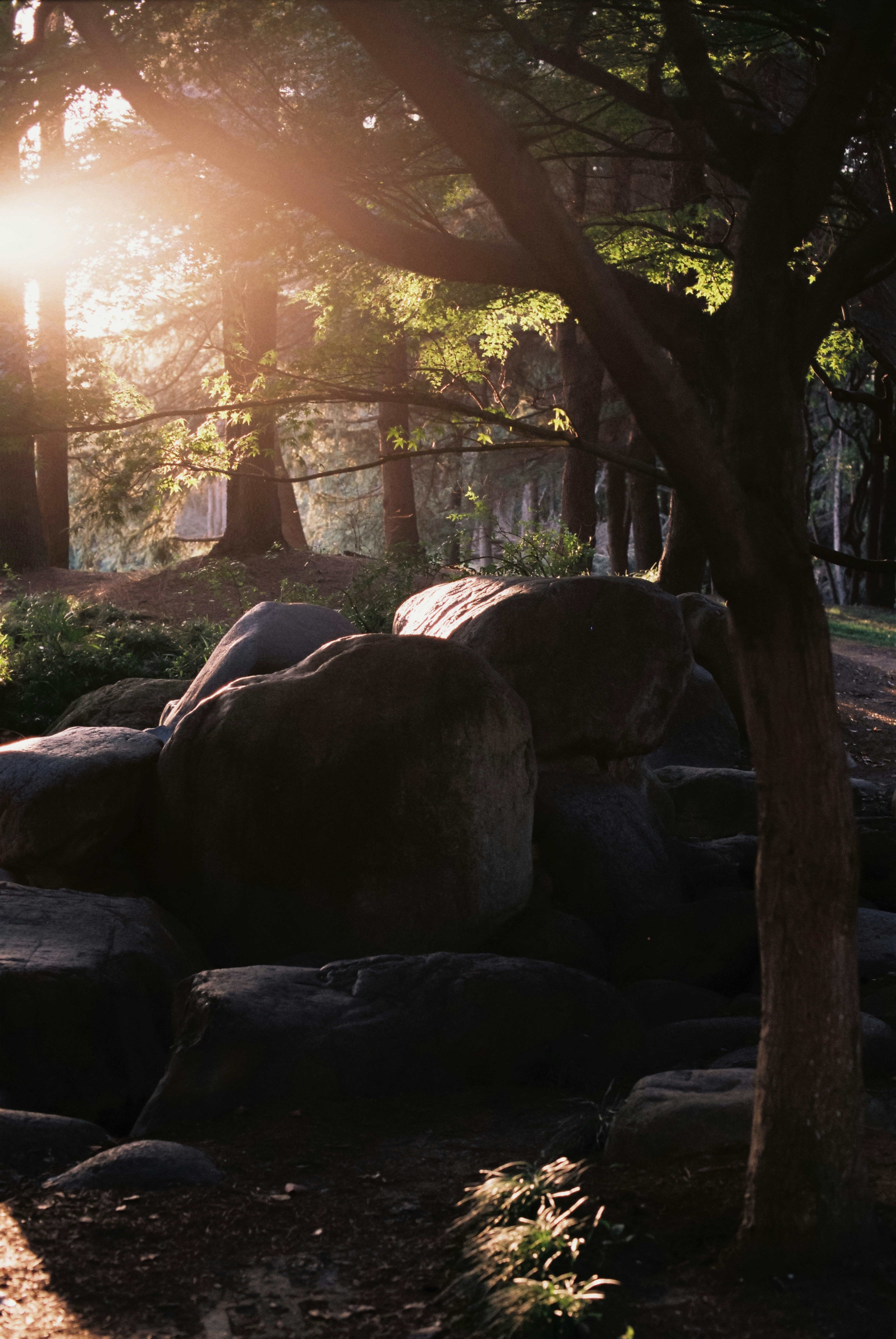 Photo by geraltyichen