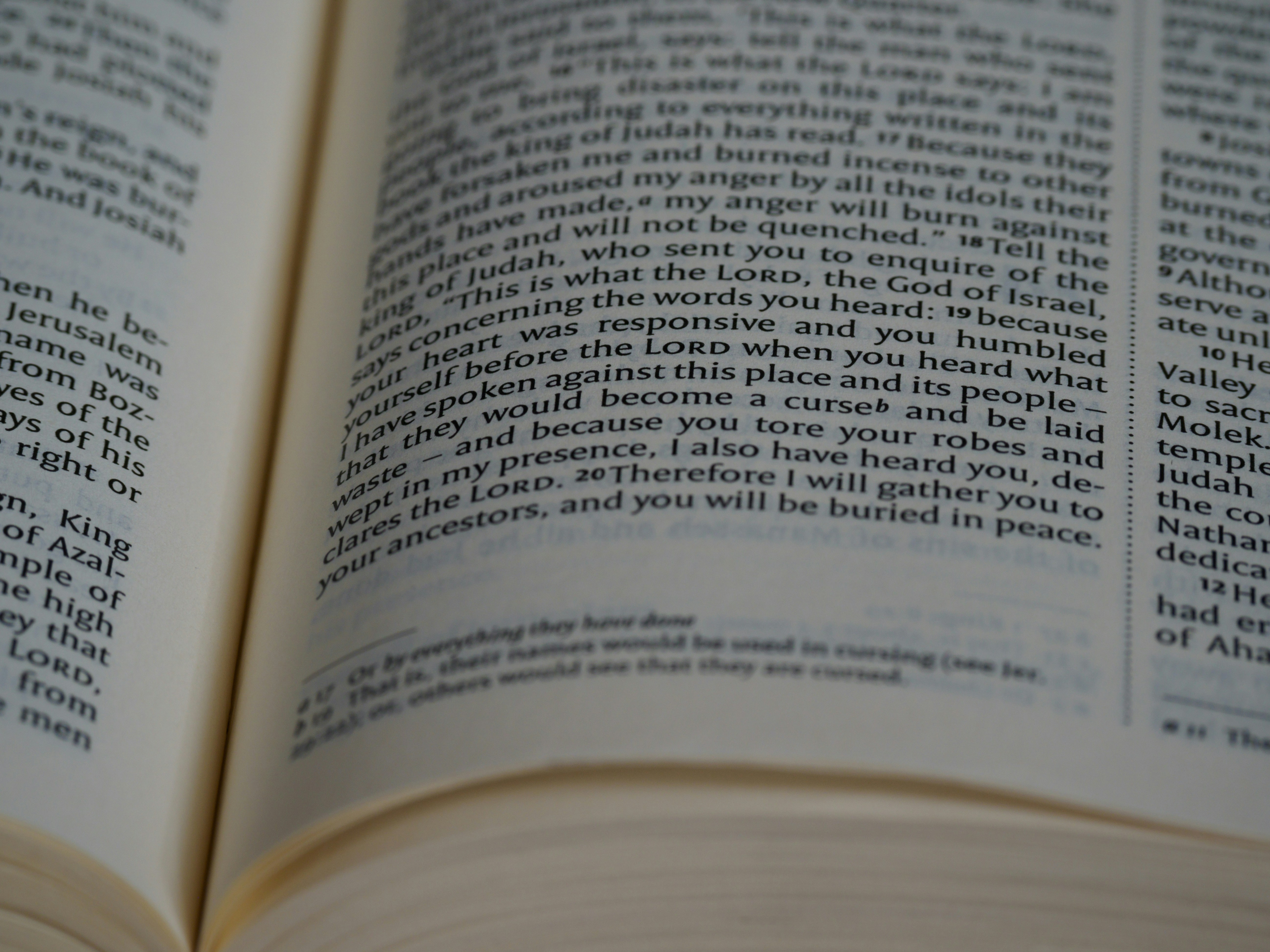 Photo by brett_jordan