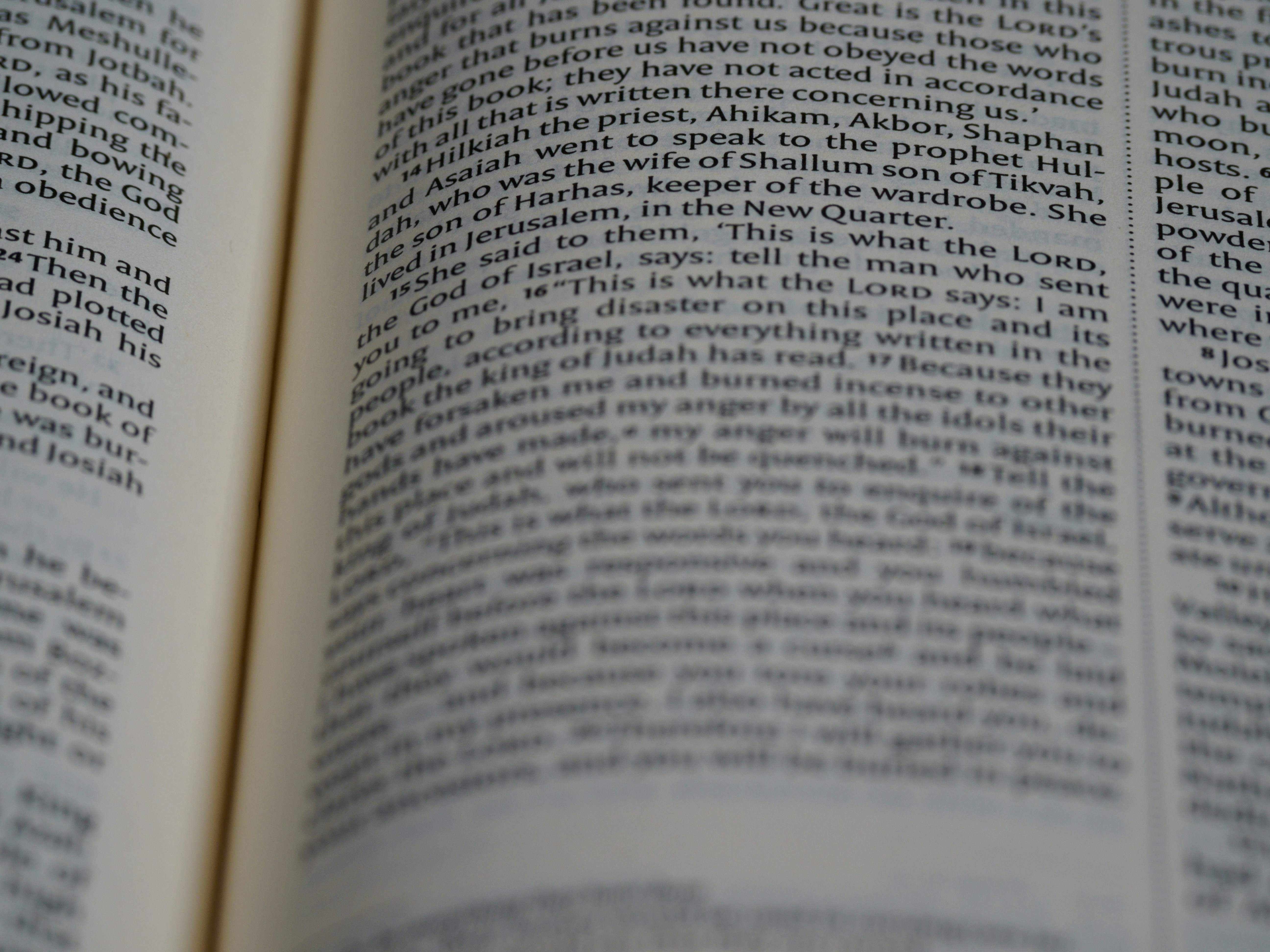 Photo by brett_jordan