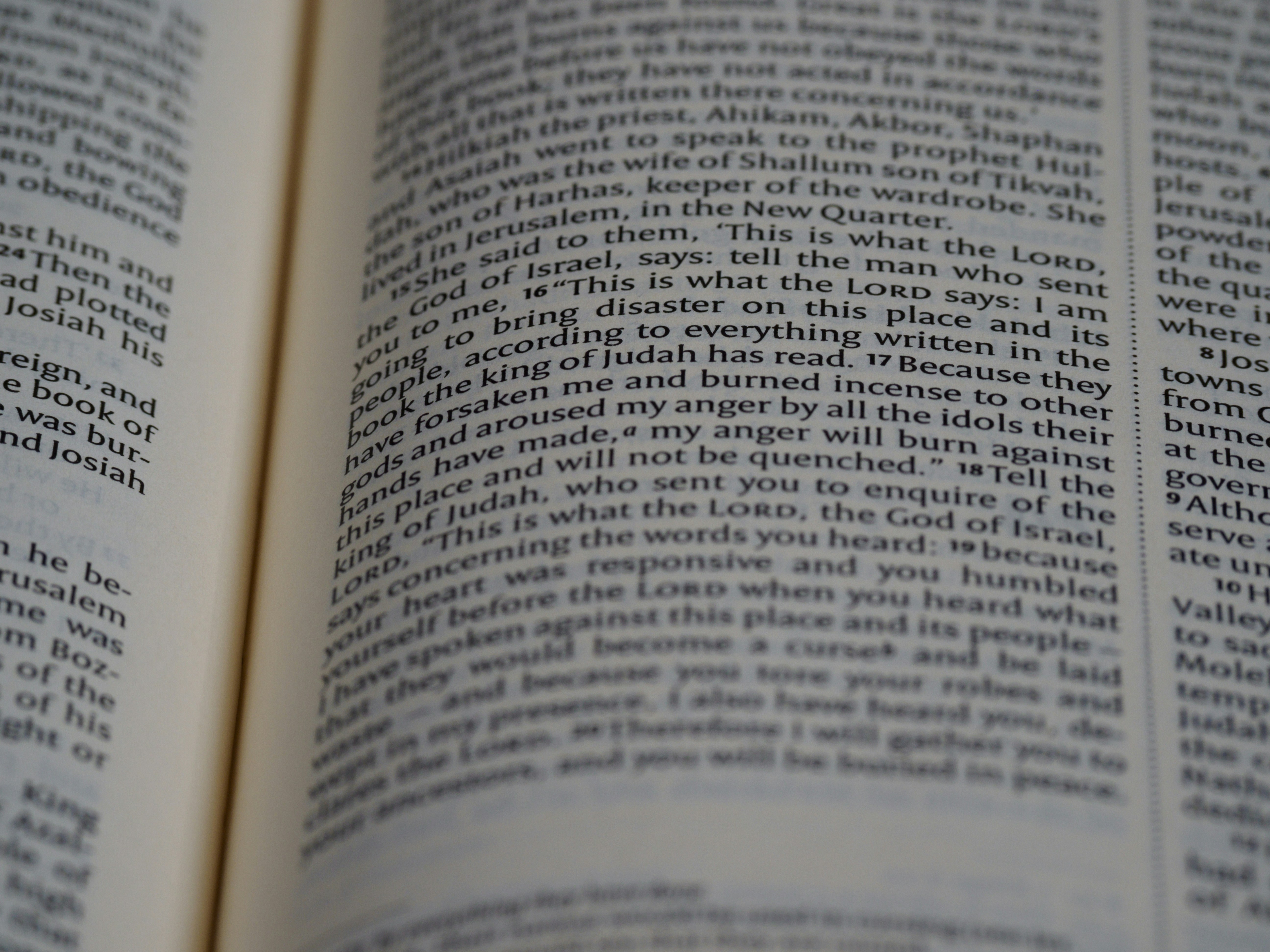 Photo by brett_jordan