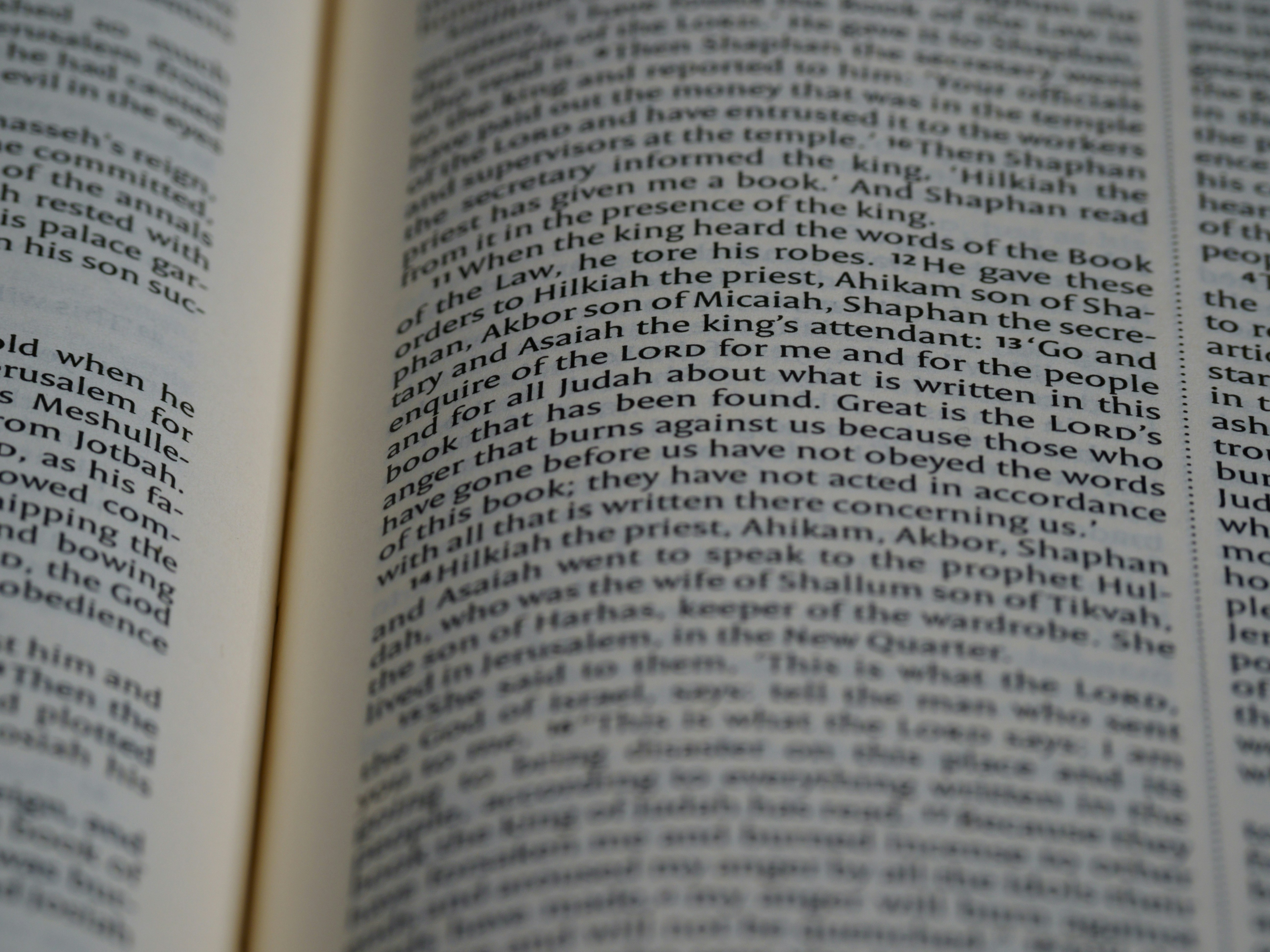 Photo by brett_jordan