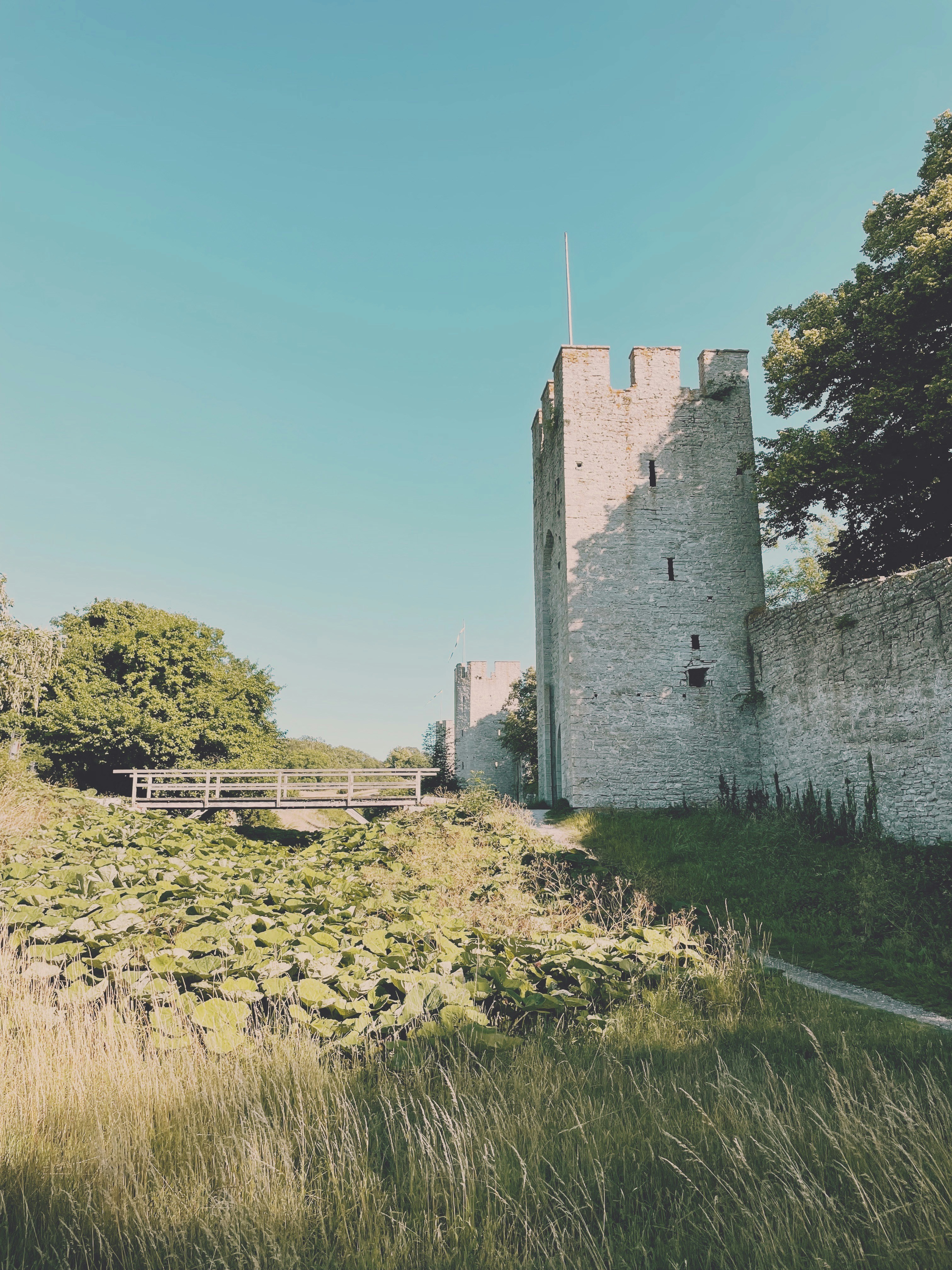 Photo by magnusjonasson