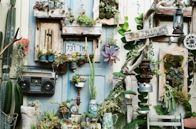 A creatively decorated space filled with various succulents and plants arranged in repurposed items like wooden frames, metal containers, and an old radio. A vintage license plate is displayed, and a sign reading 'JUNK GARDEN' is prominently featured. The setting gives off a rustic, eclectic vibe.