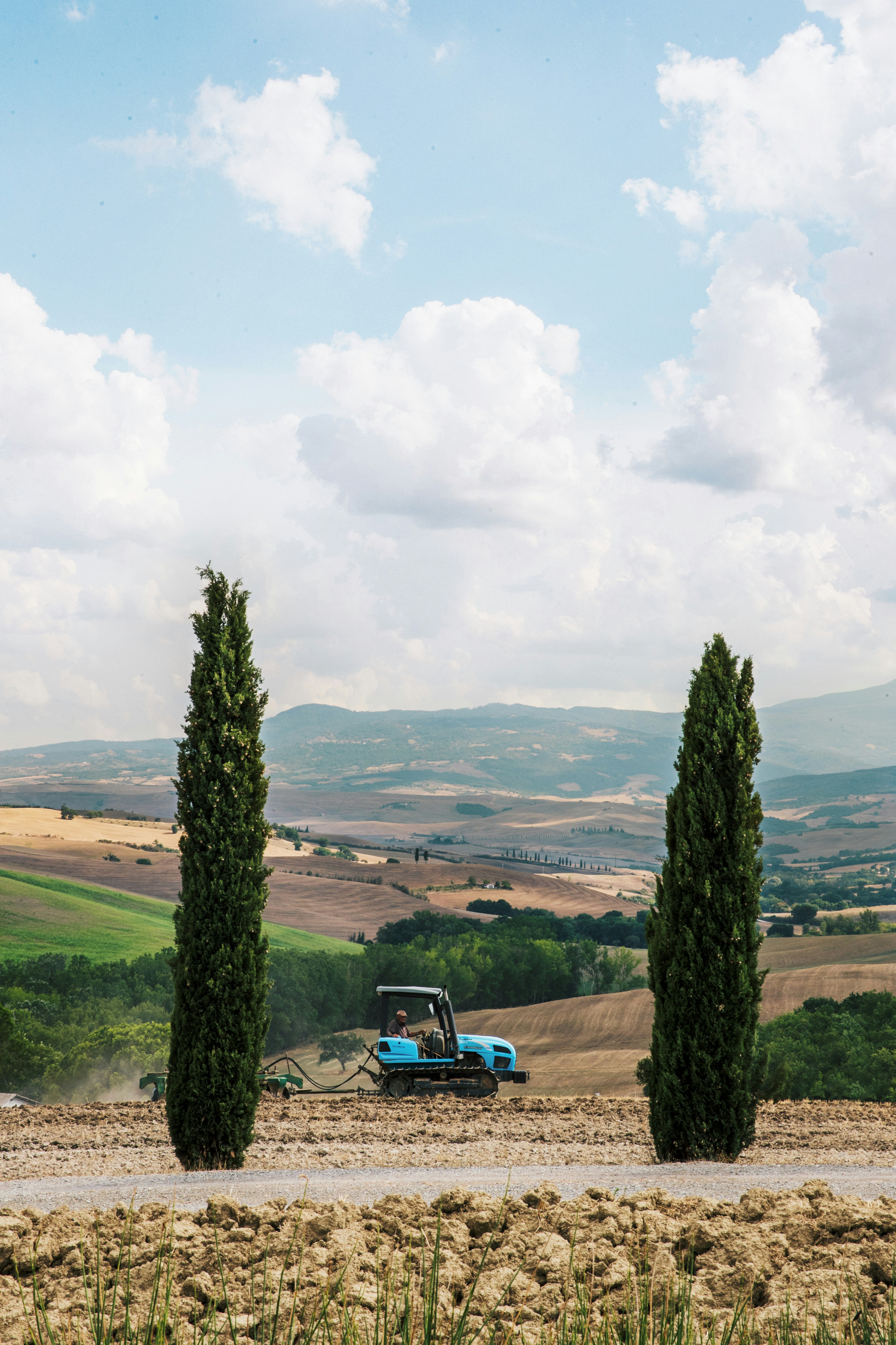 blue car on road near green grass field during daytime