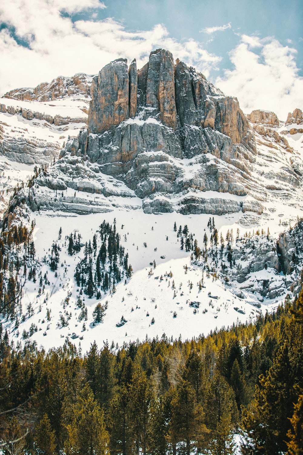 arbres verts sur la montagne enneigée pendant la journée