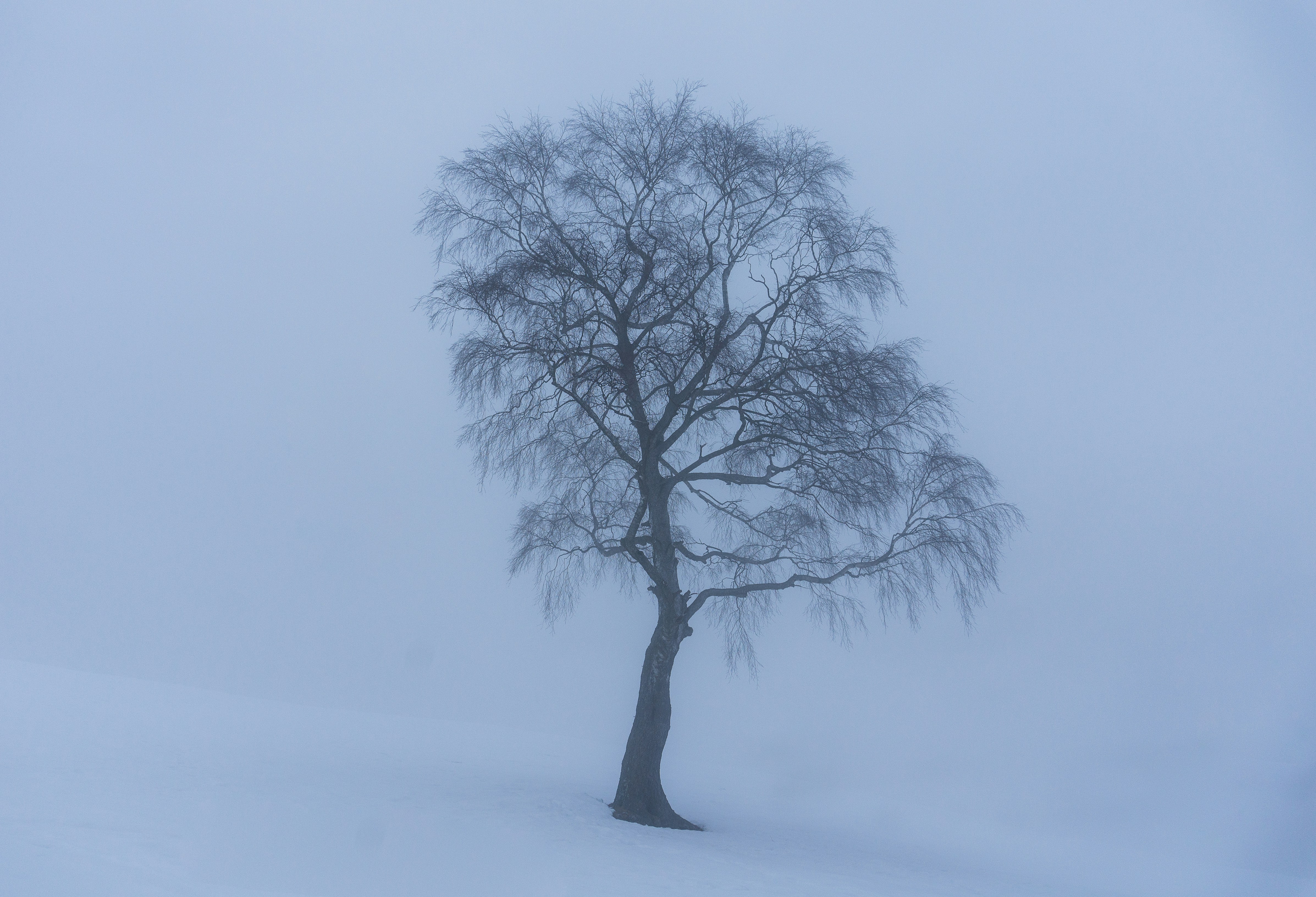 Photo by matteo_skyrider