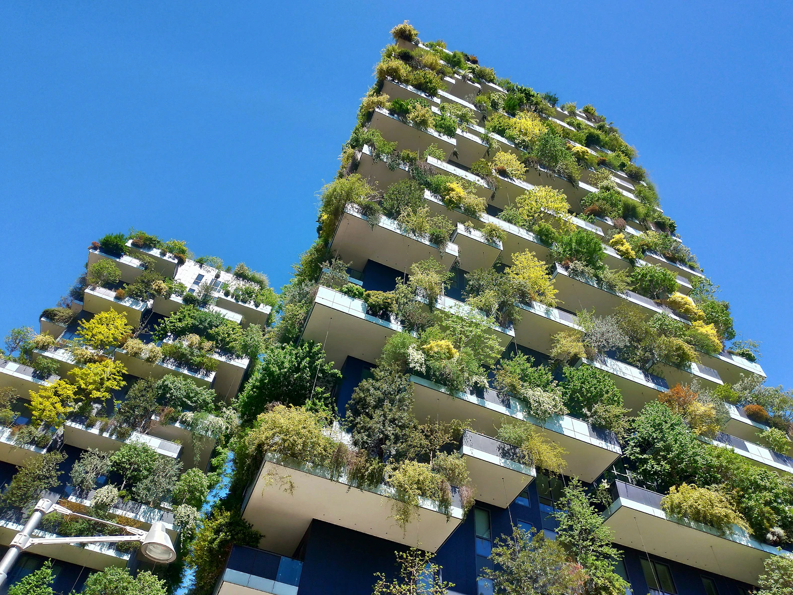 Milan's Bosco Verticale towers, their balconies filled with trees and shrubs against a deep blue sky