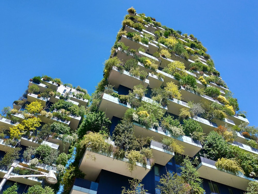 Casas blancas y verdes bajo el cielo azul durante el día