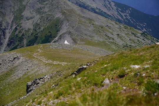 green grass field near mountain during daytime in Rila National Park Bulgaria