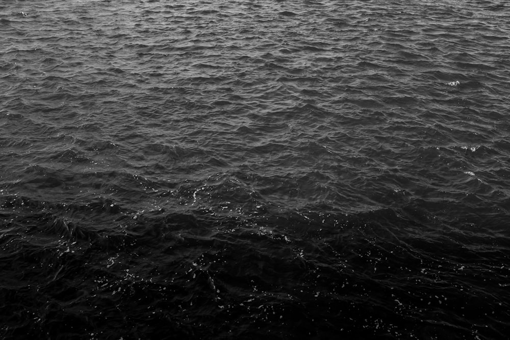 grayscale photo of body of water