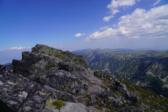 green and gray mountain under blue sky during daytime in Rila National Park Bulgaria