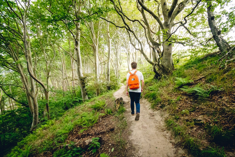 femme en chemise à manches longues blanche marchant sur un chemin de terre entre les arbres pendant la journée