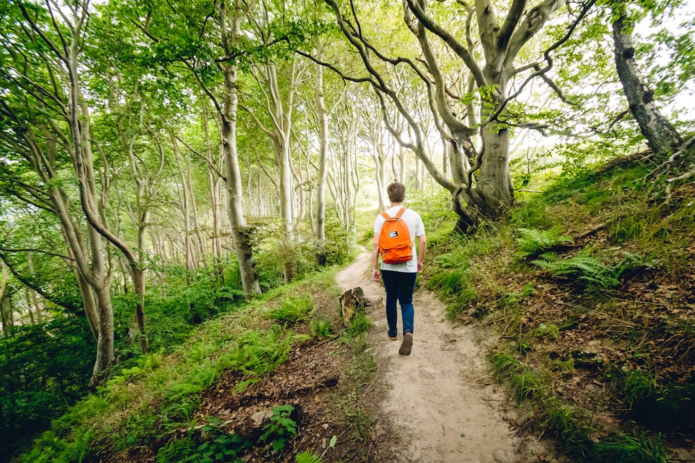 woman in white long sleeve shirt walking on dirt road between trees during daytime