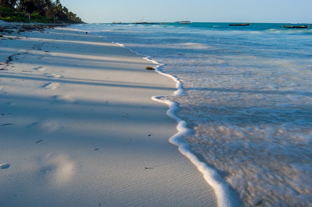 green trees on beach shore during daytime