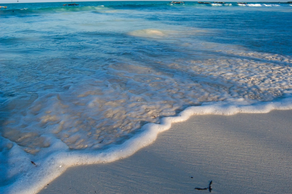 person standing on seashore during daytime