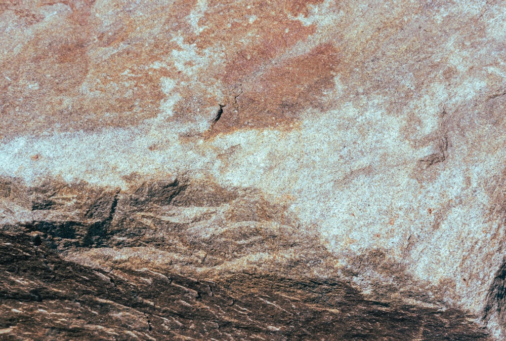 brown and white concrete wall