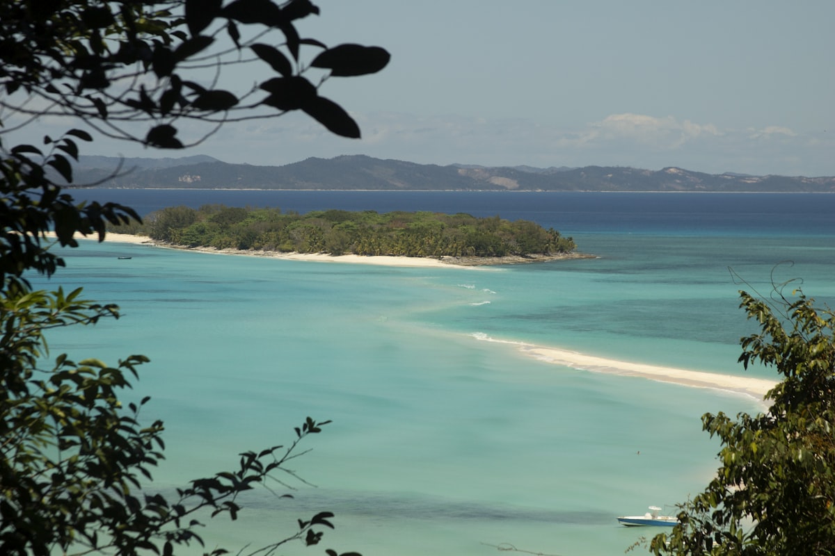 Green trees near body of water during daytime