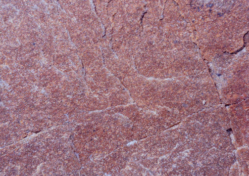 Close-up of textured pottery surface showing natural aging.