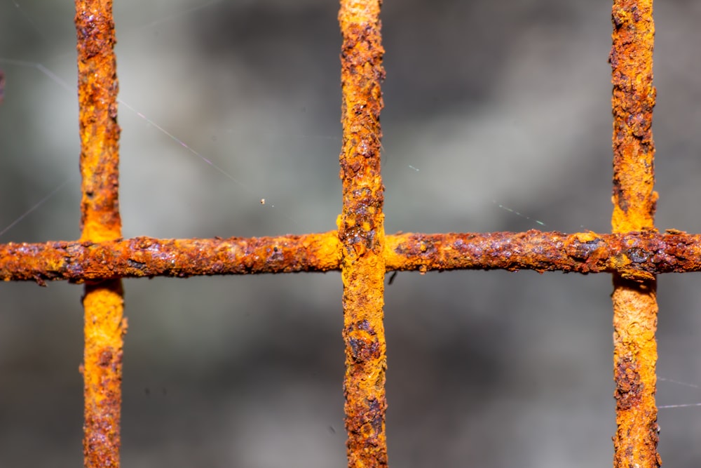 brown metal fence in close up photography
