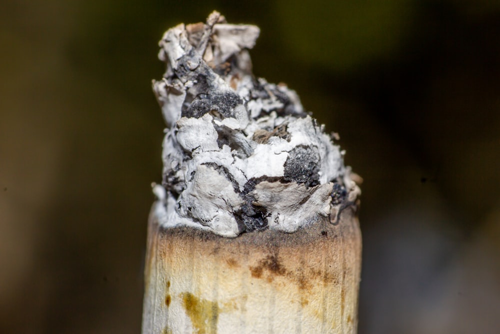 Madera blanca y marrón en la fotografía de primer plano