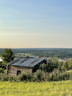 Cozy countryside cabin surrounded by lush greenery and a clear blue sky.