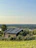 A cozy rustic cabin surrounded by lush greenery and fruit trees under a clear blue sky.