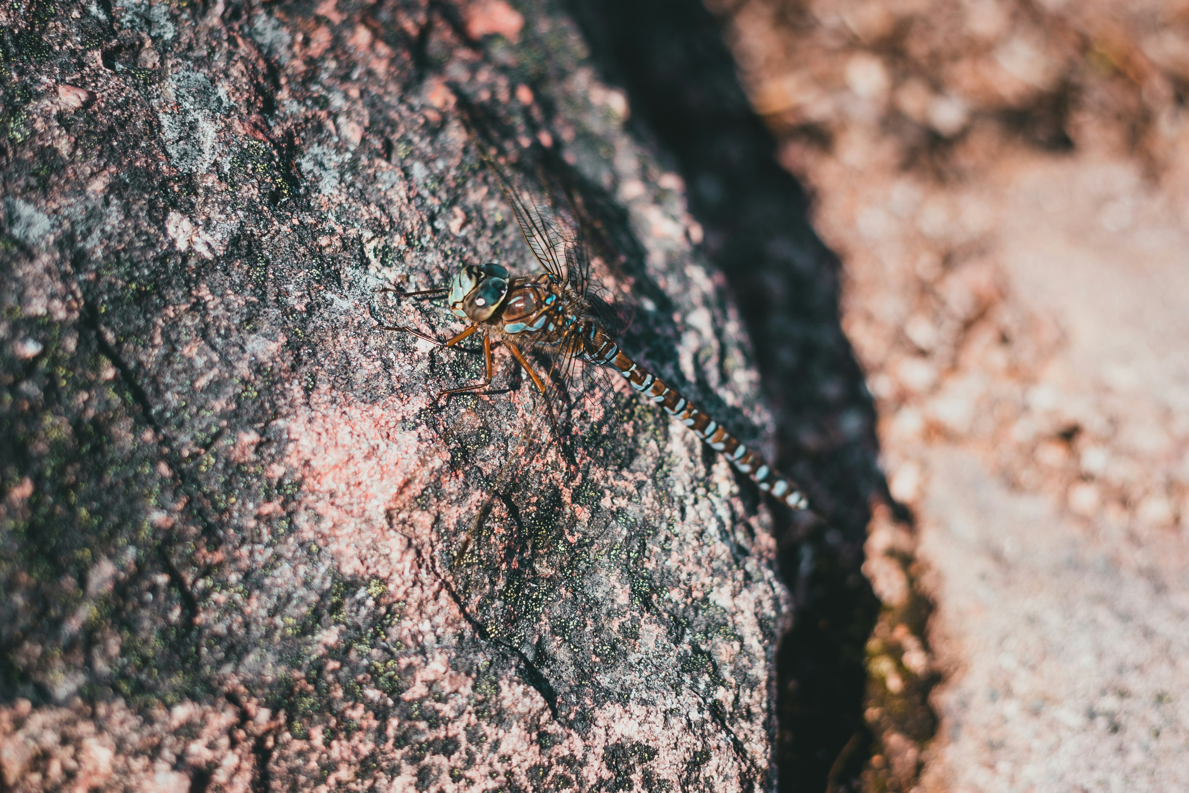 Photo by introspectivedsgn